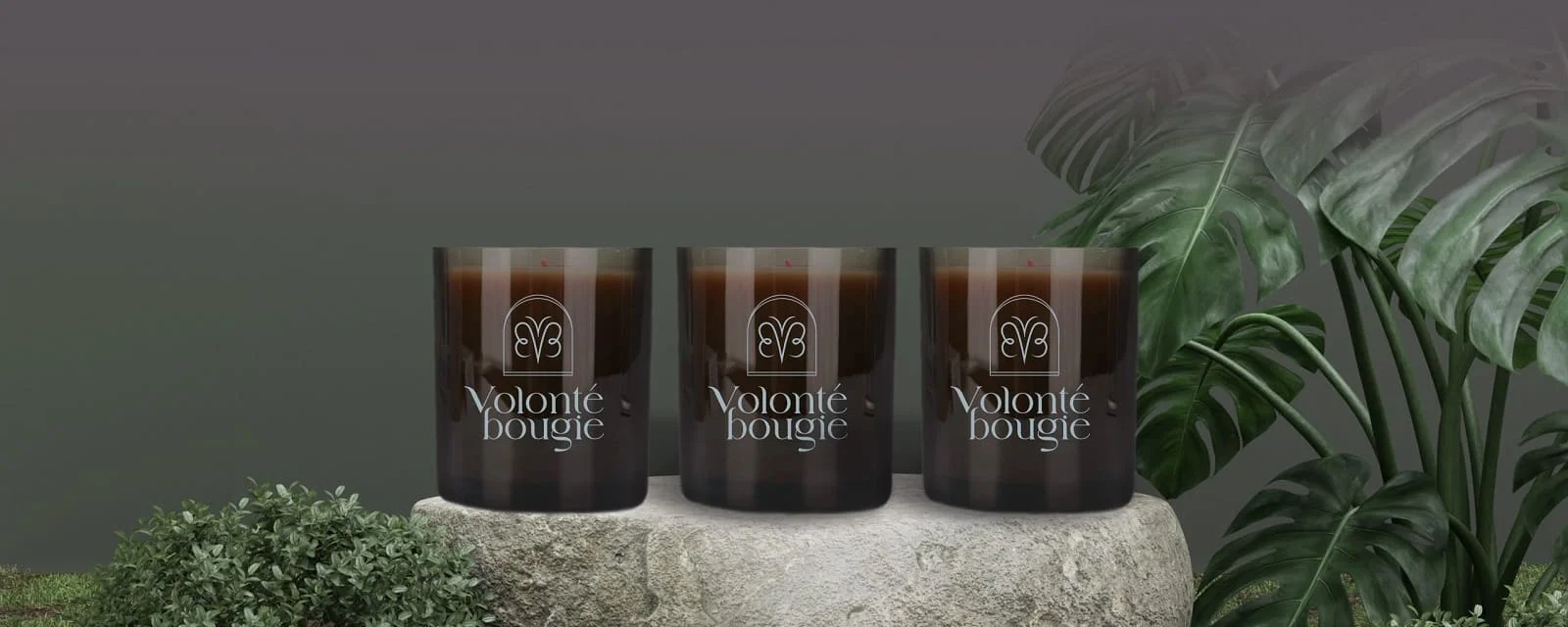Mejores Velas de lujo para regalo Volonte Bougie naturales y ecológicas: sobre una piedra y al lado de una planta